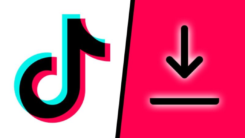 TikTok video downloader