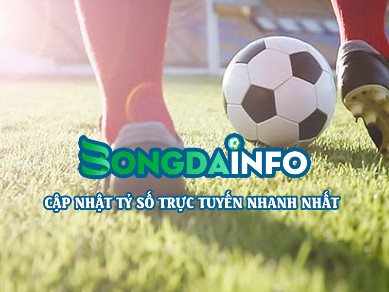 Bongdainfo - trang-web-bongdaso-so-mot-Viet-Nam